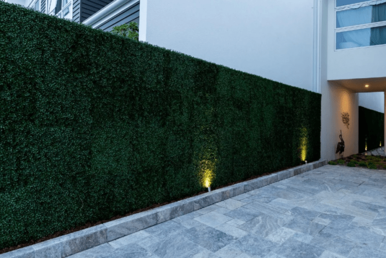 The Impact of Vertical Gardens and Green Walls on Mental Health